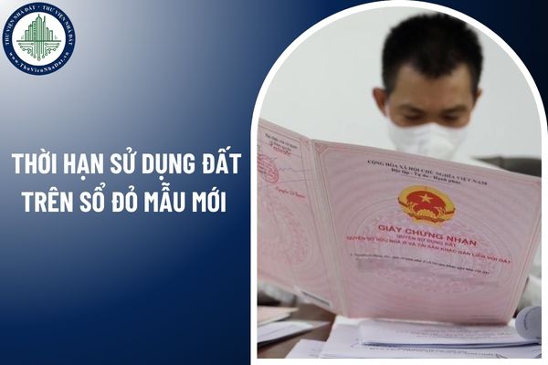 Hướng dẫn cách xem thời hạn sử dụng đất trên sổ đỏ mẫu mới như thế nào?