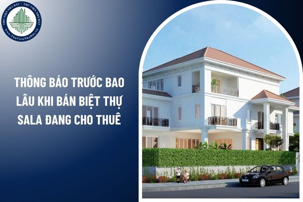Có cần thông báo trước bao lâu khi bán biệt thự Sala đang cho thuê? 