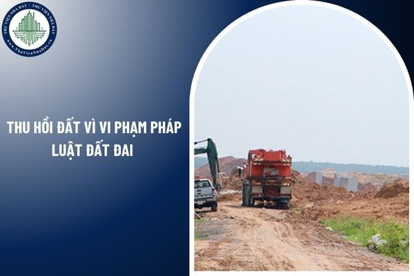 Các trường hợp bị thu hồi đất vì vi phạm pháp luật đất đai năm 2025?