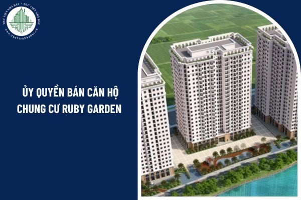 Có được ủy quyền bán căn hộ chung cư Ruby Garden cho người khác theo quy định pháp luật không?