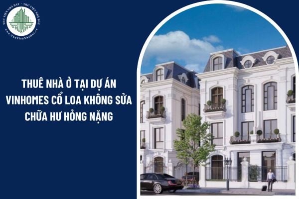 Bên cho thuê nhà ở tại Dự án Vinhomes Cổ Loa không sửa chữa hư hỏng nặng có bị chấm dứt hợp đồng không?