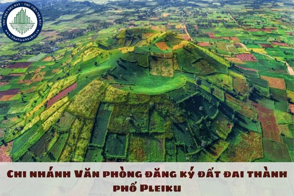 Chi nhánh Văn phòng đăng ký đất đai thành phố Pleiku: Địa chỉ và thông tin liên hệ?