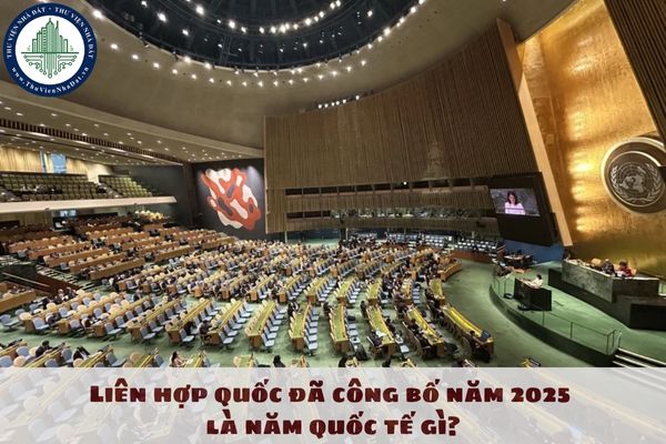 Liên hợp quốc đã công bố năm 2025 là năm quốc tế về điều gì?