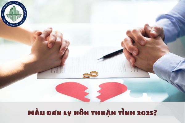 Mẫu đơn ly hôn thuận tình 2025? Ly hôn thuận tình thì bất động sản chung chia thế nào?