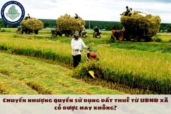 Chuyển nhượng quyền sử dụng đất thuê từ UBND xã có được hay không?