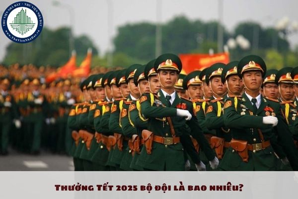 Thưởng Tết 2025 bộ đội là bao nhiêu? Quy trình, thủ tục xét thưởng và chi trả tiền thưởng Tết 2025 bộ đội ra sao?