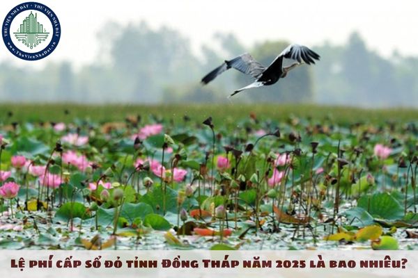 Lệ phí cấp sổ đỏ tỉnh Đồng Tháp năm 2025 là bao nhiêu?