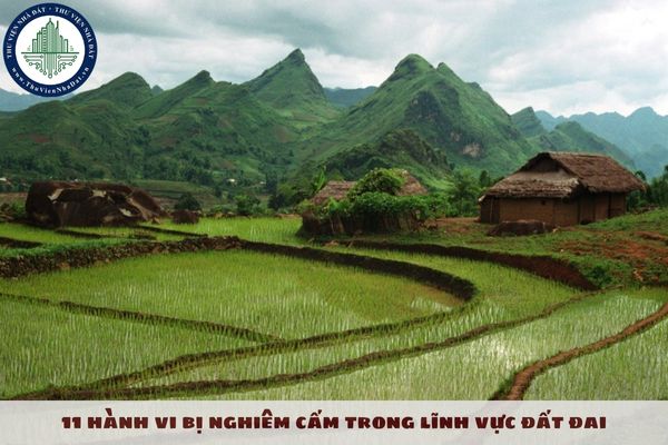 11 hành vi bị nghiêm cấm trong lĩnh vực đất đai