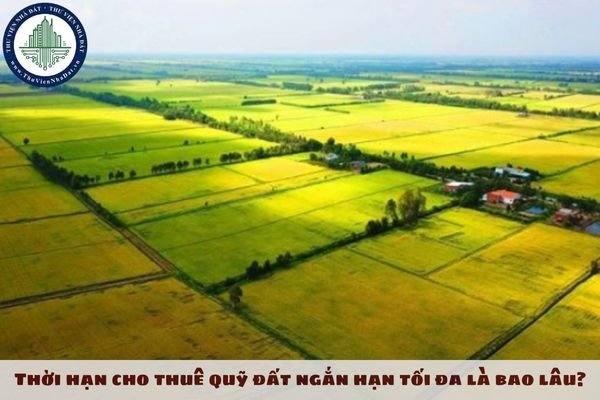 Thời hạn cho thuê quỹ đất ngắn hạn tối đa là bao lâu?