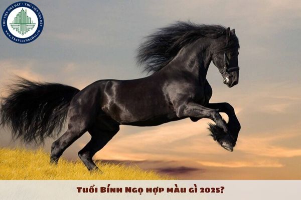 Tuổi Bính Ngọ hợp màu gì 2025? Bính Ngọ mang mệnh gì?