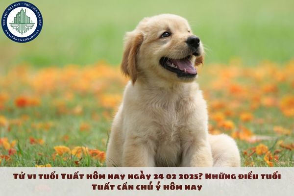 Tử Vi Tuổi Tuất Hôm Nay: Dự Báo Chi Tiết Tình Cảm, Sự Nghiệp và Tài Chính