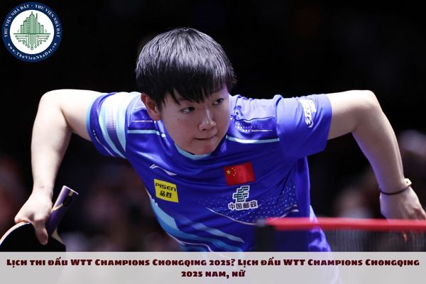 Lịch thi đấu WTT Champions Chongqing 2025? Lịch đấu WTT Champions Chongqing 2025 nam, nữ