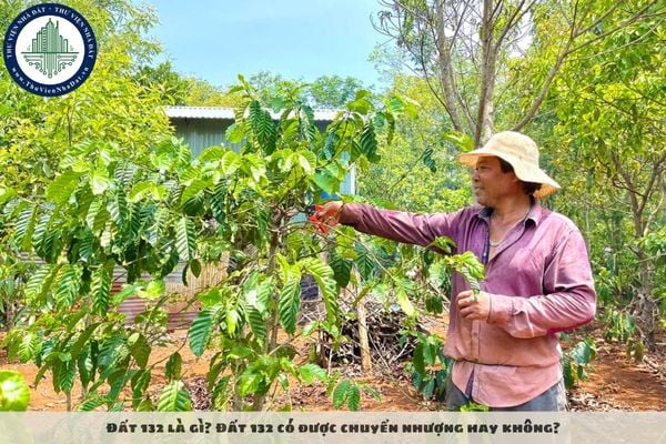 Đất 132 là gì? Đất 132 có được chuyển nhượng hay không?