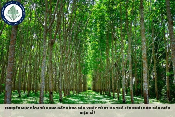 Chuyển mục đích sử dụng đất rừng sản xuất từ 02 ha trở lên phải đảm bảo điều kiện gì?