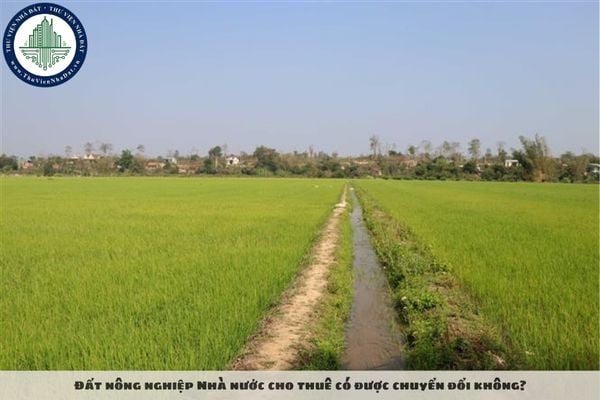 Đất nông nghiệp Nhà nước cho thuê có được chuyển đổi không?