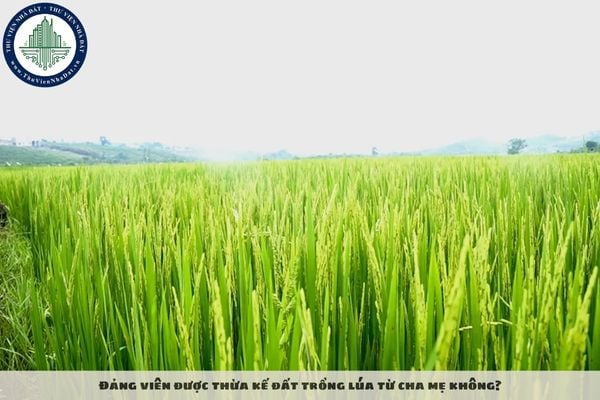 Đảng viên được thừa kế đất trồng lúa từ cha mẹ không?