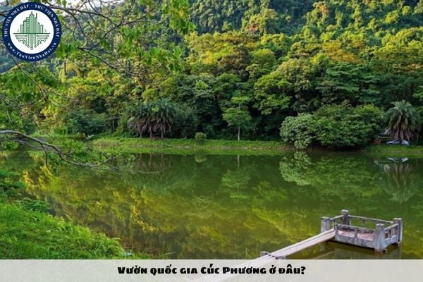 Vườn quốc gia Cúc Phương ở đâu?