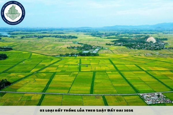 02 loại đất trồng lúa theo Luật Đất đai 2024