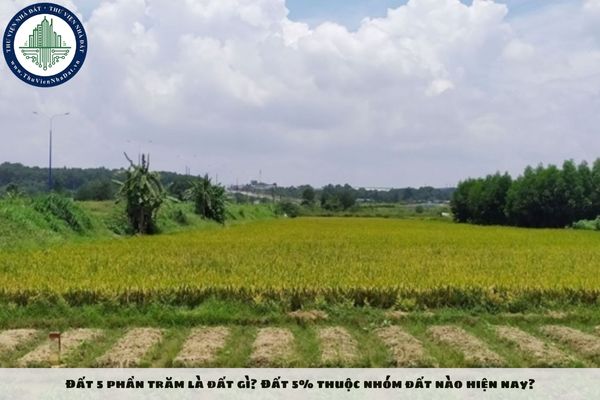 Đất 5 phần trăm là đất gì? Đất 5% thuộc nhóm đất nào hiện nay?