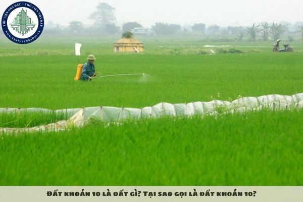 Đất khoán 10 là đất gì? Tại sao gọi là đất khoán 10?