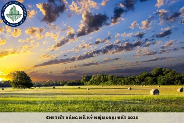 Chi tiết bảng mã ký hiệu loại đất 2025