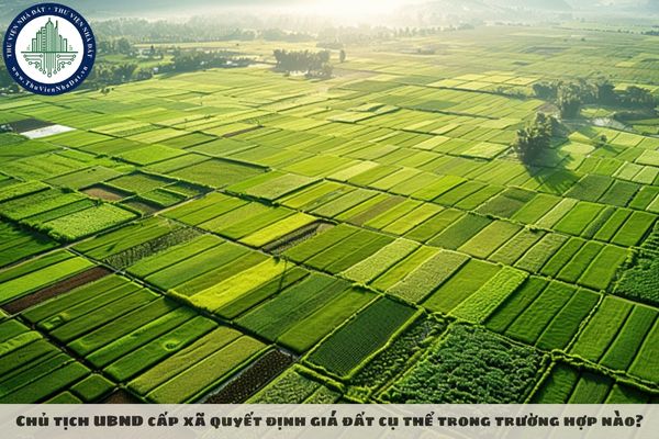 Chủ tịch UBND cấp xã quyết định giá đất cụ thể trong trường hợp nào?
