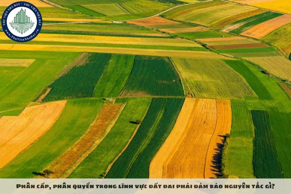 Phân cấp, phân quyền trong lĩnh vực đất đai phải đảm bảo nguyên tắc gì?