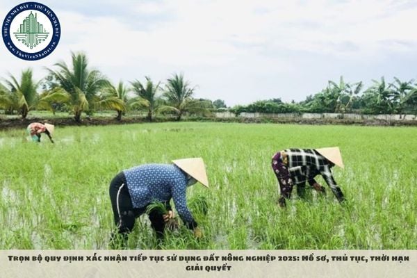 Trọn bộ quy định xác nhận tiếp tục sử dụng đất nông nghiệp 2025: Hồ sơ, thủ tục, thời hạn giải quyết