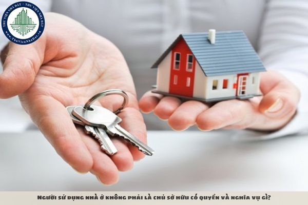 Người sử dụng nhà ở không phải là chủ sở hữu có quyền và nghĩa vụ gì?
