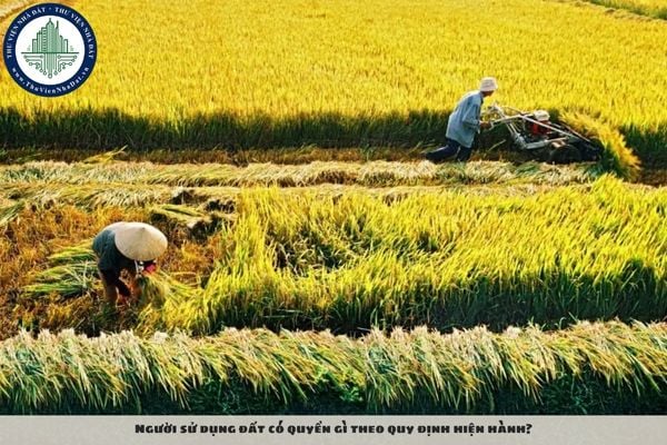 Người sử dụng đất có quyền gì theo quy định hiện hành?