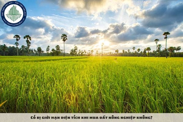 Có bị giới hạn diện tích khi mua đất nông nghiệp không?