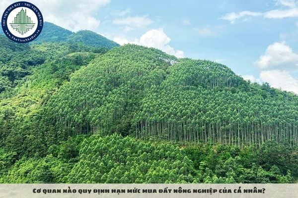 Cơ quan nào quy định hạn mức mua đất nông nghiệp của cá nhân?