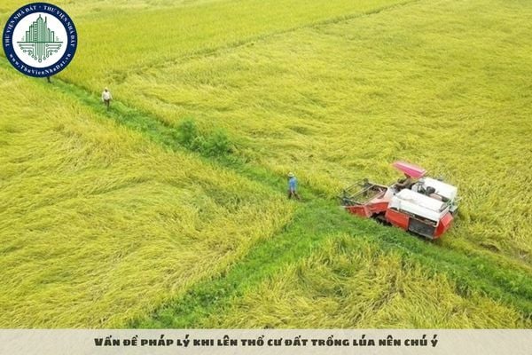 Vấn đề pháp lý khi lên thổ cư đất trồng lúa nên chú ý