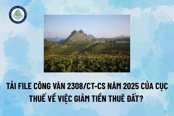 Tải file Công văn 2308/CT-CS năm 2025 của Cục Thuế về việc giảm tiền thuê đất? (Hình từ Internet)