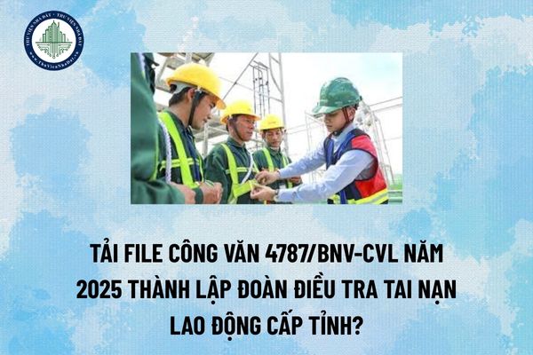 Tải file Công văn 4787/BNV-CVL năm 2025 thành lập đoàn điều tra tai nạn lao động cấp tỉnh? (Hình từ Internet)
