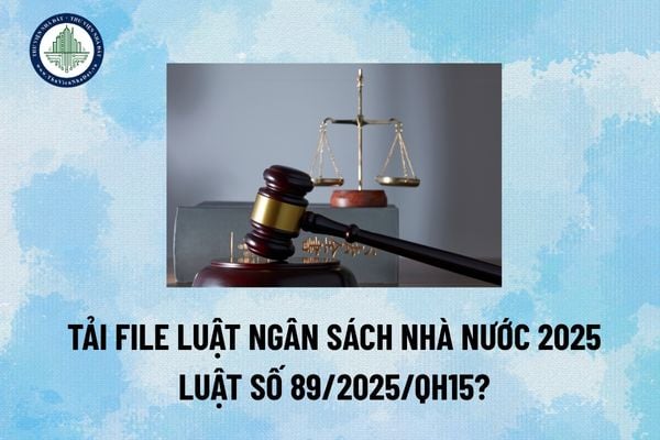 Tải file Luật Ngân sách nhà nước 2025 Luật số 89/2025/QH15? (Hình từ Internet)