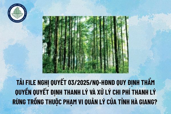 Tải file Nghị quyết 03/2025/NQ-HĐND quy định thẩm quyền quyết định thanh lý và xử lý chi phí thanh lý rừng trồng thuộc phạm vi quản lý của tỉnh Hà Giang? (Hình từ Internet)