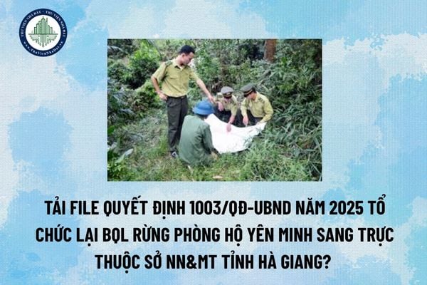 Tải file Quyết định 1003/QĐ-UBND năm 2025 tổ chức lại BQL rừng phòng hộ Yên Minh sang trực thuộc sở NN&MT tỉnh Hà Giang? (Hình từ Internet)