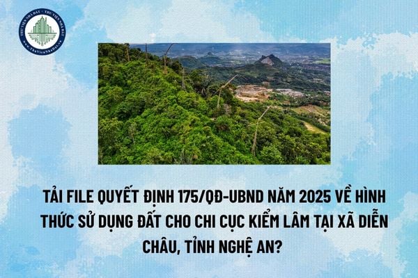 Tải file Quyết định 175/QĐ-UBND năm 2025 về hình thức sử dụng đất cho Chi cục Kiểm Lâm tại xã Diễn Châu, tỉnh Nghệ An? (Hình từ Internet)