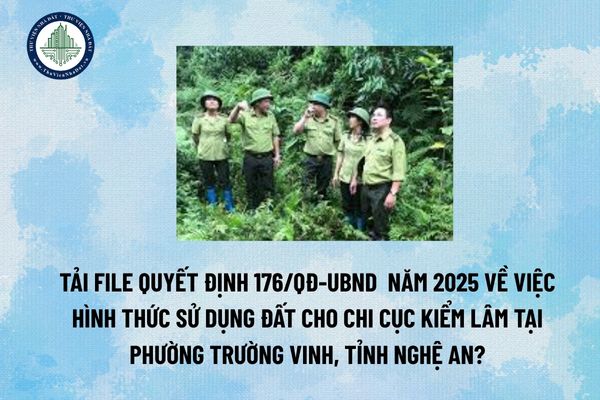 Tải file Quyết định 176/QĐ-UBND  năm 2025 về việc hình thức sử dụng đất cho Chi Cục Kiểm lâm tại phường Trường Vinh, tỉnh Nghệ An? (Hình từ Internet)