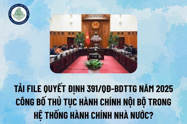 Tải file Quyết định 391/QĐ-BDTTG năm 2025 công bố thủ tục hành chính nội bộ trong hệ thống hành chính nhà nước? (Hình từ Internet)