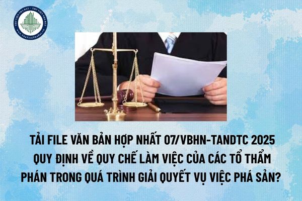 Tải file Văn bản hợp nhất 07/VBHN-TANDTC 2025 về Quy chế làm việc của các Tổ Thẩm phán trong quá trình giải quyết vụ việc phá sản?