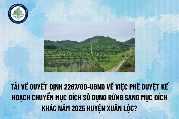 Tải về Quyết định 2267/QĐ-UBND về việc phê duyệt Kế hoạch chuyển mục đích sử dụng rừng sang mục đích khác năm 2025 huyện Xuân Lộc? (Hình từ Internet)