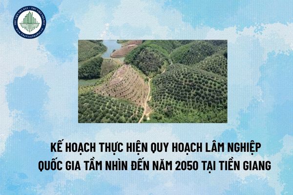 Kế hoạch thực hiện Quy hoạch lâm nghiệp quốc gia tầm nhìn đến năm 2050 tại Tiền Giang