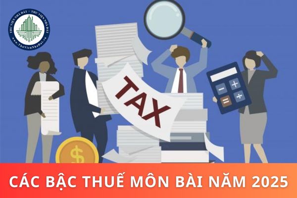 Các bậc thuế môn bài năm 2025? Thời hạn nộp thuế môn bài năm 2025 chậm nhất là khi nào?