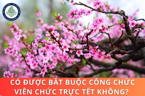 Có được bắt buộc công chức viên chức trực Tết không? Công chức viên chức trực Tết được hưởng lương bao nhiêu?