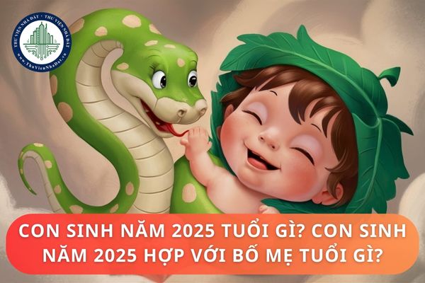 Con sinh năm 2025 tuổi gì? Con sinh năm 2025 hợp với bố mẹ tuổi gì?