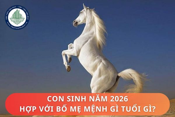 Tổng quan về con sinh năm 2026? Con sinh năm 2026 hợp với bố mẹ mệnh gì tuổi gì?