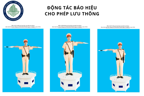 Âm hiệu còi và động tác chỉ huy của cảnh sát giao thông từ năm 2025