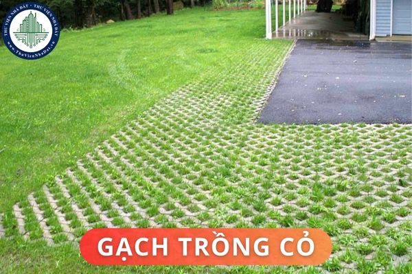 Ưu và nhược điểm của gạch trồng cỏ? Cách lát gạch trồng cỏ đúng tiêu chuẩn